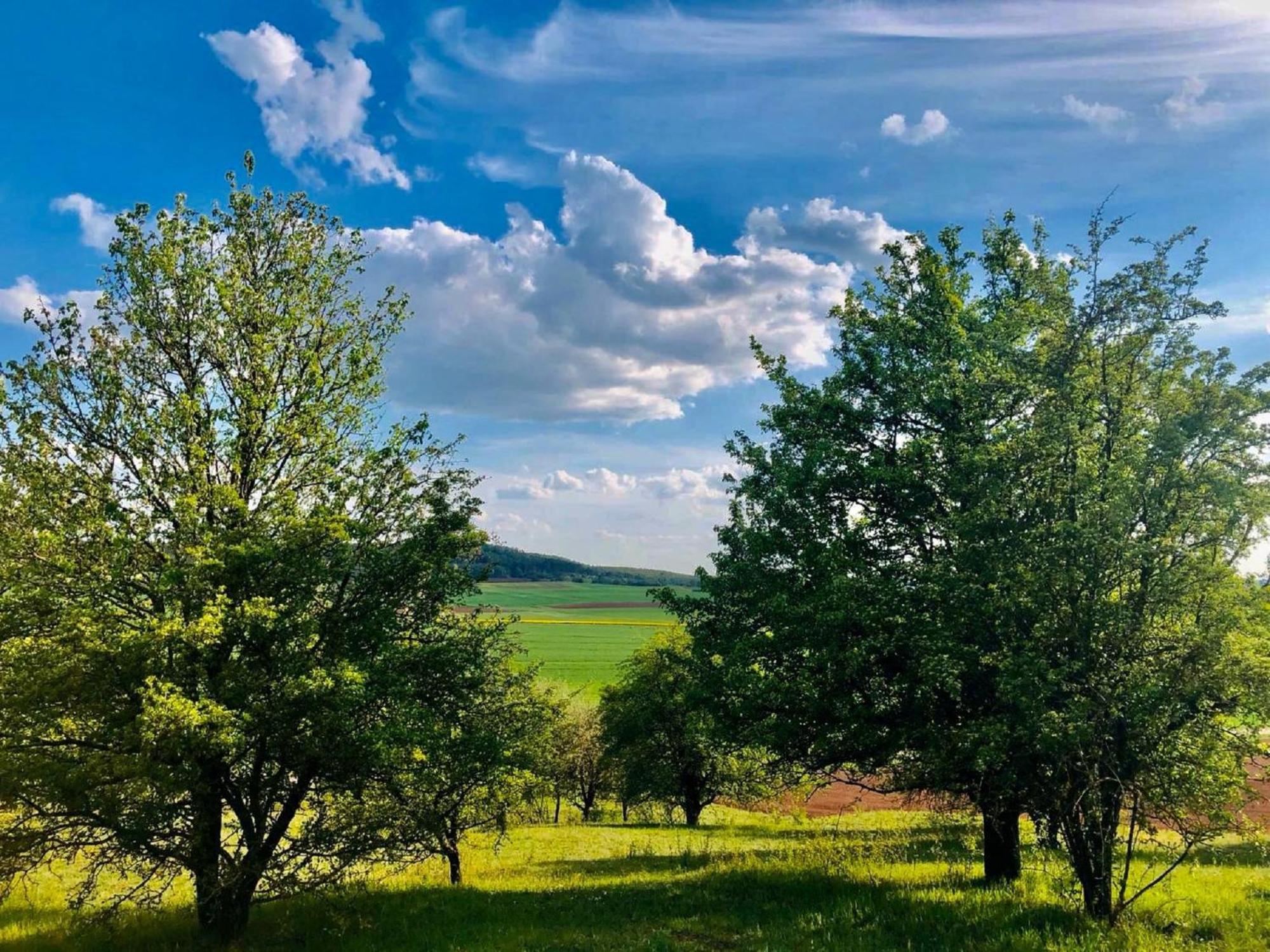 Ferienwohnungen Goja Bad Königshofen im Grabfeld Extérieur photo